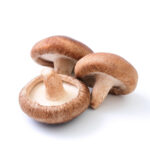 Shiitake