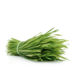 Wheatgrass